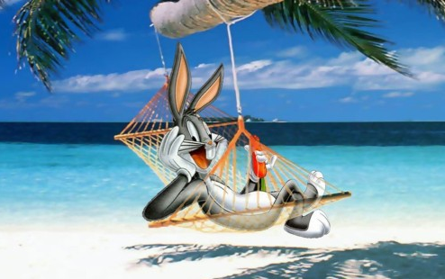 hammocks the holiday extenders