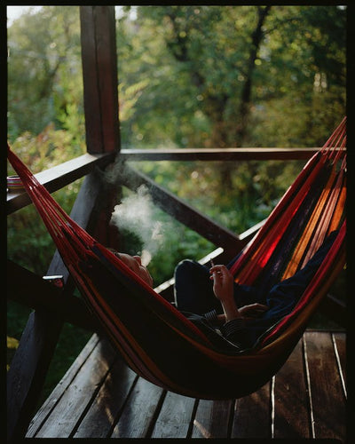 how free standing hammocks transformed australian backyards