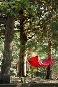 The Environmental Impact of Hammock Swings: What You Need to Know