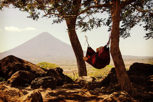 Hammock Swing