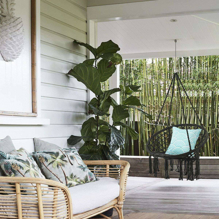 Hammock Swing Chair In Black Colour