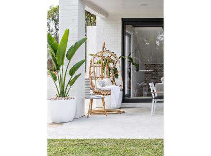 Balinese Natural Rattan Hanging Egg Chair-Metro SYD/CANB/MELB/BRIS/G'COAST ONLY - $99.00-Siesta Hammocks