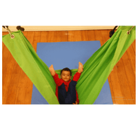 Green Outdoor Cloth Swing-Siesta Hammocks